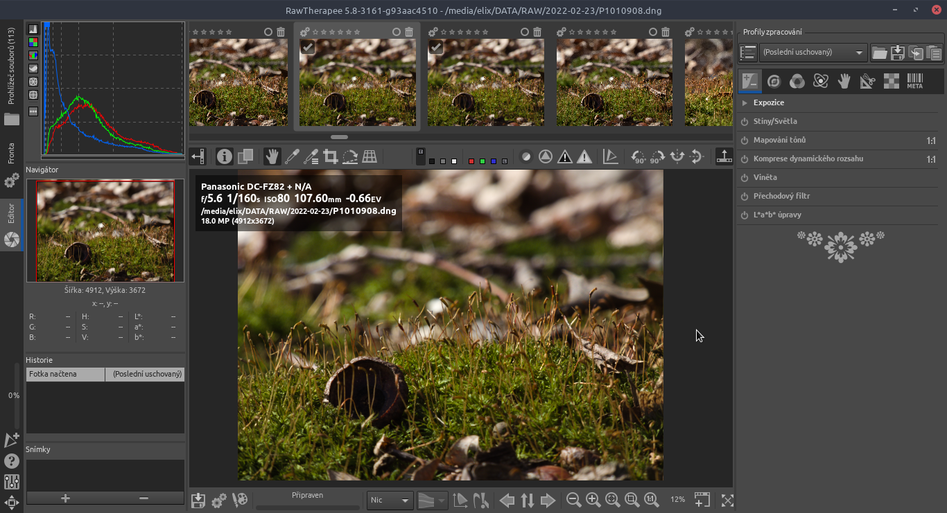 Editace RAW souborů v RawTherapee